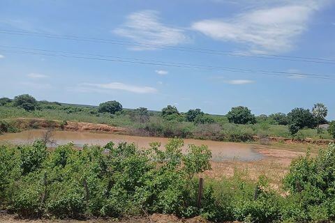 Seca Verde compromete produção agrícola em 13 municípios do Piauí; entenda os impactos