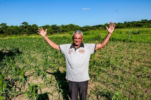 Auxílio do Garantia Safra beneficia agricultores familiares de 95 municípios do Piauí